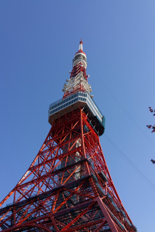 横浜、川崎、神奈川県、東京都を主要な活動拠点としている当行政書士・富樫眞一事務所は、第一に、廃棄物処理の許可取得、すなわち、産業廃棄物の許可取得及び一般廃棄物の許可取得、第二に、面倒な遺産相続手続の代理及び遺言作成のサポート、第三に薬局の開設許可を含めた運営サポート等に関して、お客様の立場に立ち、責任を持って、仕事を請け負わせていただいております。全ての業務に関して、代表の富樫行政書士が、お客様と直接相談し、納得頂いた内容について迅速・丁寧に対応いたします。代表の富樫行政書士は、国（環境省）及び地方自治体（川崎市）で長年、廃棄物行政を担当したスペシャリストであり、環境部門の技術士、薬学博士の資格を有し、廃棄物が環境に与える影響を科学的に考慮できる素養を併せ持ち、他の廃棄物業者との差別化を図る様々な提案と共に、許可取得後、次の新たな飛躍への提案もいたします。相続については、長年、研修を継続しながら実務経験も有しております。薬局運営サポートに関しては、同じ薬剤師としての立場から、地域の健康拠点作りを様々な観点から、様々なアイデアを提案し、全力でサポートします。廃棄物の許可取得業務、遺産相続業務、薬局運営業務は、正に真のスペシャリストとして、お客様の本位で、次の飛躍、新たな活動へ向け、有益な助言も併せてさせていただております。行政書士・富樫眞一代表は、誠実・信頼・安心を第一とし、お客様本位で、受託した仕事を、責任をもって対応いたします。定期的な報告とお客様との次の動きに向けた話し合いを欠かしません。この図は、そのような仕事に対する真摯な態度を表象した図です。