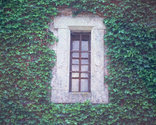 横浜、川崎、神奈川県、東京都を主要な活動拠点としている当行政書士・富樫眞一事務所は、第一に、廃棄物処理の許可取得、すなわち、産業廃棄物の許可取得及び一般廃棄物の許可取得、第二に、面倒な遺産相続手続の代理及び遺言作成のサポート、第三に薬局の開設許可を含めた運営サポート等に関して、お客様の立場に立ち、責任を持って、仕事を請け負わせていただいております。全ての業務に関して、代表の富樫行政書士が、お客様と直接相談し、納得頂いた内容について迅速・丁寧に対応いたします。代表の富樫行政書士は、国（環境省）及び地方自治体（川崎市）で長年、廃棄物行政を担当したスペシャリストであり、環境部門の技術士、薬学博士の資格を有し、廃棄物が環境に与える影響を科学的に考慮できる素養を併せ持ち、他の廃棄物業者との差別化を図る様々な提案と共に、許可取得後、次の新たな飛躍への提案もいたします。相続については、長年、研修を継続しながら実務経験も有しております。薬局運営サポートに関しては、同じ薬剤師としての立場から、地域の健康拠点作りを様々な観点から、様々なアイデアを提案し、全力でサポートします。廃棄物の許可取得業務、遺産相続業務、薬局運営業務は、正に真のスペシャリストとして、お客様の本位で、次の飛躍、新たな活動へ向け、有益な助言も併せてさせていただております。行政書士・富樫眞一代表は、誠実・信頼・安心を第一とし、お客様本位で、受託した仕事を、責任をもって対応いたします。定期的な報告とお客様との次の動きに向けた話し合いを欠かしません。この図は、そのような仕事に対する真摯な態度を表象した図です。