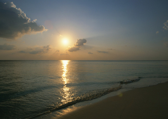 横浜、川崎、神奈川県、東京都を主要な活動拠点としている当行政書士・富樫眞一事務所は、第一に、廃棄物処理の許可取得、すなわち、産業廃棄物の許可取得及び一般廃棄物の許可取得、第二に、面倒な遺産相続手続の代理及び遺言作成のサポート、第三に薬局の開設許可を含めた運営サポート等に関して、お客様の立場に立ち、責任を持って、仕事を請け負わせていただいております。全ての業務に関して、代表の富樫行政書士が、お客様と直接相談し、納得頂いた内容について迅速・丁寧に対応いたします。代表の富樫行政書士は、国（環境省）及び地方自治体（川崎市）で長年、廃棄物行政を担当したスペシャリストであり、環境部門の技術士、薬学博士の資格を有し、廃棄物が環境に与える影響を科学的に考慮できる素養を併せ持ち、他の廃棄物業者との差別化を図る様々な提案と共に、許可取得後、次の新たな飛躍への提案もいたします。相続については、長年、研修を継続しながら実務経験も有しております。薬局運営サポートに関しては、同じ薬剤師としての立場から、地域の健康拠点作りを様々な観点から、様々なアイデアを提案し、全力でサポートします。廃棄物の許可取得業務、遺産相続業務、薬局運営業務は、正に真のスペシャリストとして、お客様の本位で、次の飛躍、新たな活動へ向け、有益な助言も併せてさせていただております。行政書士・富樫眞一代表は、誠実・信頼・安心を第一とし、お客様本位で、受託した仕事を、責任をもって対応いたします。定期的な報告とお客様との次の動きに向けた話し合いを欠かしません。この図は、そのような仕事に対する真摯な態度を表象した図です。
