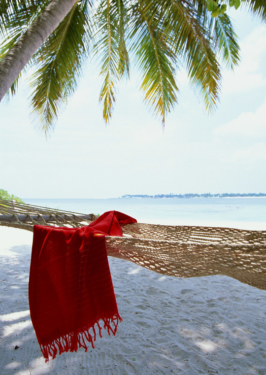 横浜、川崎、神奈川県、東京都を主要な活動拠点としている当行政書士・富樫眞一事務所は、第一に、廃棄物処理の許可取得、すなわち、産業廃棄物の許可取得及び一般廃棄物の許可取得、第二に、面倒な遺産相続手続の代理及び遺言作成のサポート、第三に薬局の開設許可を含めた運営サポート等に関して、お客様の立場に立ち、責任を持って、仕事を請け負わせていただいております。全ての業務に関して、代表の富樫行政書士が、お客様と直接相談し、納得頂いた内容について迅速・丁寧に対応いたします。代表の富樫行政書士は、国（環境省）及び地方自治体（川崎市）で長年、廃棄物行政を担当したスペシャリストであり、環境部門の技術士、薬学博士の資格を有し、廃棄物が環境に与える影響を科学的に考慮できる素養を併せ持ち、他の廃棄物業者との差別化を図る様々な提案と共に、許可取得後、次の新たな飛躍への提案もいたします。相続については、長年、研修を継続しながら実務経験も有しております。薬局運営サポートに関しては、同じ薬剤師としての立場から、地域の健康拠点作りを様々な観点から、様々なアイデアを提案し、全力でサポートします。廃棄物の許可取得業務、遺産相続業務、薬局運営業務は、正に真のスペシャリストとして、お客様の本位で、次の飛躍、新たな活動へ向け、有益な助言も併せてさせていただております。行政書士・富樫眞一代表は、誠実・信頼・安心を第一とし、お客様本位で、受託した仕事を、責任をもって対応いたします。定期的な報告とお客様との次の動きに向けた話し合いを欠かしません。この図は、そのような仕事に対する真摯な態度を表象した図です。