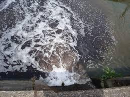 横浜、川崎、神奈川県、東京都を主要な活動拠点としている当行政書士・富樫眞一事務所は、第一に、廃棄物処理の許可取得、すなわち、産業廃棄物の許可取得及び一般廃棄物の許可取得、第二に、面倒な遺産相続手続の代理及び遺言作成のサポート、第三に薬局の開設許可を含めた運営サポート等に関して、お客様の立場に立ち、責任を持って、仕事を請け負わせていただいております。全ての業務に関して、代表の富樫行政書士が、お客様と直接相談し、納得頂いた内容について迅速・丁寧に対応いたします。代表の富樫行政書士は、国（環境省）及び地方自治体（川崎市）で長年、廃棄物行政を担当したスペシャリストであり、環境部門の技術士、薬学博士の資格を有し、廃棄物が環境に与える影響を科学的に考慮できる素養を併せ持ち、他の廃棄物業者との差別化を図る様々な提案と共に、許可取得後、次の新たな飛躍への提案もいたします。相続については、長年、研修を継続しながら実務経験も有しております。薬局運営サポートに関しては、同じ薬剤師としての立場から、地域の健康拠点作りを様々な観点から、様々なアイデアを提案し、全力でサポートします。廃棄物の許可取得業務、遺産相続業務、薬局運営業務は、正に真のスペシャリストとして、お客様の本位で、次の飛躍、新たな活動へ向け、有益な助言も併せてさせていただております。行政書士・富樫眞一代表は、誠実・信頼・安心を第一とし、お客様本位で、受託した仕事を、責任をもって対応いたします。定期的な報告とお客様との次の動きに向けた話し合いを欠かしません。この図は、そのような仕事に対する真摯な態度を表象した図です。