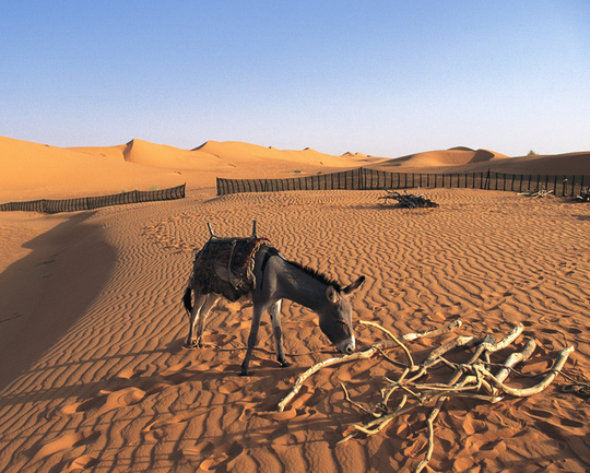 横浜、川崎、神奈川県、東京都を主要な活動拠点としている当行政書士・富樫眞一事務所は、第一に、廃棄物処理の許可取得、すなわち、産業廃棄物の許可取得及び一般廃棄物の許可取得、第二に、面倒な遺産相続手続の代理及び遺言作成のサポート、第三に薬局の開設許可を含めた運営サポート等に関して、お客様の立場に立ち、責任を持って、仕事を請け負わせていただいております。全ての業務に関して、代表の富樫行政書士が、お客様と直接相談し、納得頂いた内容について迅速・丁寧に対応いたします。代表の富樫行政書士は、国（環境省）及び地方自治体（川崎市）で長年、廃棄物行政を担当したスペシャリストであり、環境部門の技術士、薬学博士の資格を有し、廃棄物が環境に与える影響を科学的に考慮できる素養を併せ持ち、他の廃棄物業者との差別化を図る様々な提案と共に、許可取得後、次の新たな飛躍への提案もいたします。相続については、長年、研修を継続しながら実務経験も有しております。薬局運営サポートに関しては、同じ薬剤師としての立場から、地域の健康拠点作りを様々な観点から、様々なアイデアを提案し、全力でサポートします。廃棄物の許可取得業務、遺産相続業務、薬局運営業務は、正に真のスペシャリストとして、お客様の本位で、次の飛躍、新たな活動へ向け、有益な助言も併せてさせていただております。行政書士・富樫眞一代表は、誠実・信頼・安心を第一とし、お客様本位で、受託した仕事を、責任をもって対応いたします。定期的な報告とお客様との次の動きに向けた話し合いを欠かしません。この図は、そのような仕事に対する真摯な態度を表象した図です。