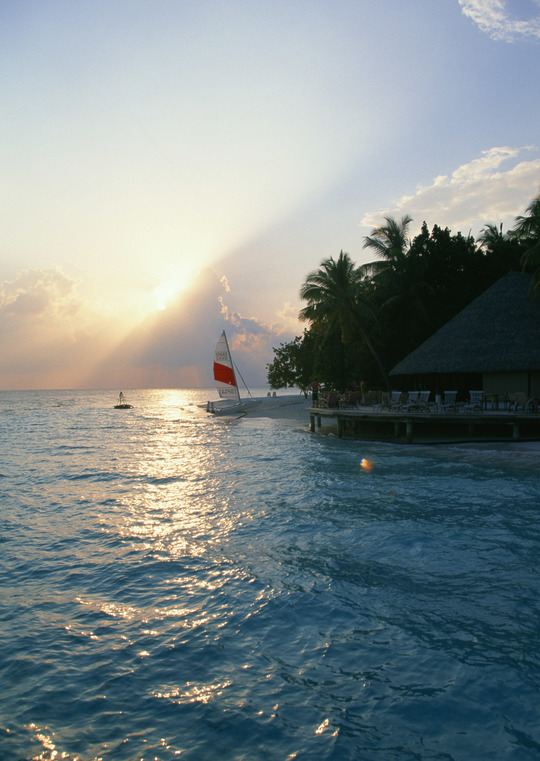 横浜、川崎、神奈川県、東京都を主要な活動拠点としている当行政書士・富樫眞一事務所は、第一に、廃棄物処理の許可取得、すなわち、産業廃棄物の許可取得及び一般廃棄物の許可取得、第二に、面倒な遺産相続手続の代理及び遺言作成のサポート、第三に薬局の開設許可を含めた運営サポート等に関して、お客様の立場に立ち、責任を持って、仕事を請け負わせていただいております。全ての業務に関して、代表の富樫行政書士が、お客様と直接相談し、納得頂いた内容について迅速・丁寧に対応いたします。代表の富樫行政書士は、国（環境省）及び地方自治体（川崎市）で長年、廃棄物行政を担当したスペシャリストであり、環境部門の技術士、薬学博士の資格を有し、廃棄物が環境に与える影響を科学的に考慮できる素養を併せ持ち、他の廃棄物業者との差別化を図る様々な提案と共に、許可取得後、次の新たな飛躍への提案もいたします。相続については、長年、研修を継続しながら実務経験も有しております。薬局運営サポートに関しては、同じ薬剤師としての立場から、地域の健康拠点作りを様々な観点から、様々なアイデアを提案し、全力でサポートします。廃棄物の許可取得業務、遺産相続業務、薬局運営業務は、正に真のスペシャリストとして、お客様の本位で、次の飛躍、新たな活動へ向け、有益な助言も併せてさせていただております。行政書士・富樫眞一代表は、誠実・信頼・安心を第一とし、お客様本位で、受託した仕事を、責任をもって対応いたします。定期的な報告とお客様との次の動きに向けた話し合いを欠かしません。この図は、そのような仕事に対する真摯な態度を表象した図です。