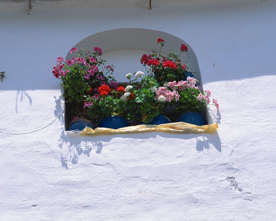 横浜、川崎、神奈川県、東京都を主要な活動拠点としている当行政書士・富樫眞一事務所は、第一に、廃棄物処理の許可取得、すなわち、産業廃棄物の許可取得及び一般廃棄物の許可取得、第二に、面倒な遺産相続手続の代理及び遺言作成のサポート、第三に薬局の開設許可を含めた運営サポート等に関して、お客様の立場に立ち、責任を持って、仕事を請け負わせていただいております。全ての業務に関して、代表の富樫行政書士が、お客様と直接相談し、納得頂いた内容について迅速・丁寧に対応いたします。代表の富樫行政書士は、国（環境省）及び地方自治体（川崎市）で長年、廃棄物行政を担当したスペシャリストであり、環境部門の技術士、薬学博士の資格を有し、廃棄物が環境に与える影響を科学的に考慮できる素養を併せ持ち、他の廃棄物業者との差別化を図る様々な提案と共に、許可取得後、次の新たな飛躍への提案もいたします。相続については、長年、研修を継続しながら実務経験も有しております。薬局運営サポートに関しては、同じ薬剤師としての立場から、地域の健康拠点作りを様々な観点から、様々なアイデアを提案し、全力でサポートします。廃棄物の許可取得業務、遺産相続業務、薬局運営業務は、正に真のスペシャリストとして、お客様の本位で、次の飛躍、新たな活動へ向け、有益な助言も併せてさせていただております。行政書士・富樫眞一代表は、誠実・信頼・安心を第一とし、お客様本位で、受託した仕事を、責任をもって対応いたします。定期的な報告とお客様との次の動きに向けた話し合いを欠かしません。この図は、そのような仕事に対する真摯な態度を表象した図です。